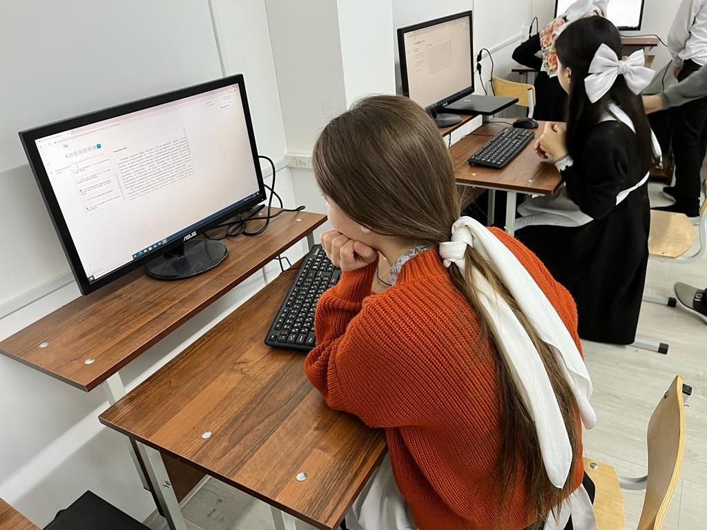 тестирование по читательской грамотности на Интернет-портале РЭШ..