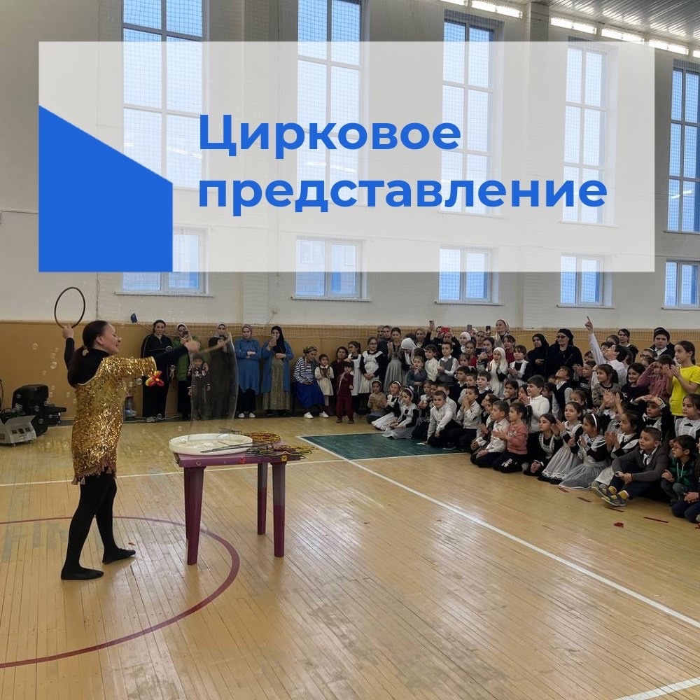 Цирковое представление.
